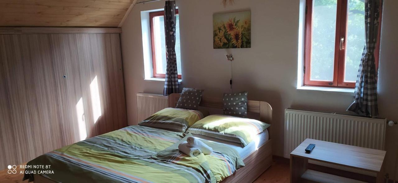 Apartmany Natalie Dvory nad Luznici Buitenkant foto