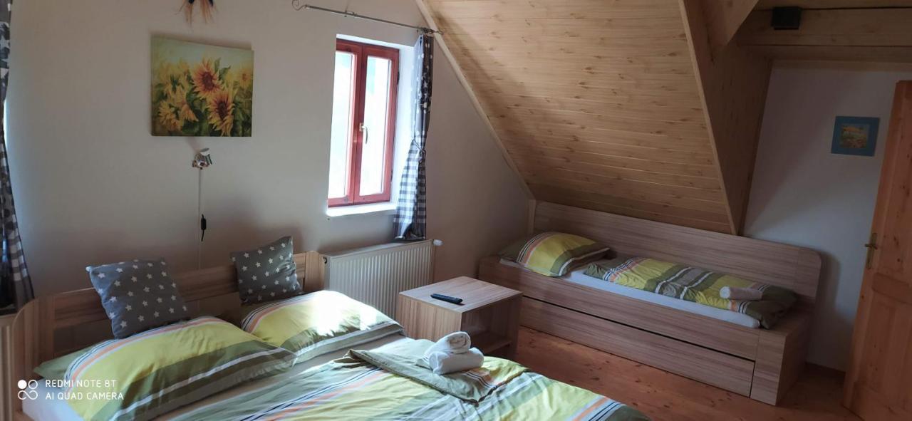 Apartmany Natalie Dvory nad Luznici Buitenkant foto