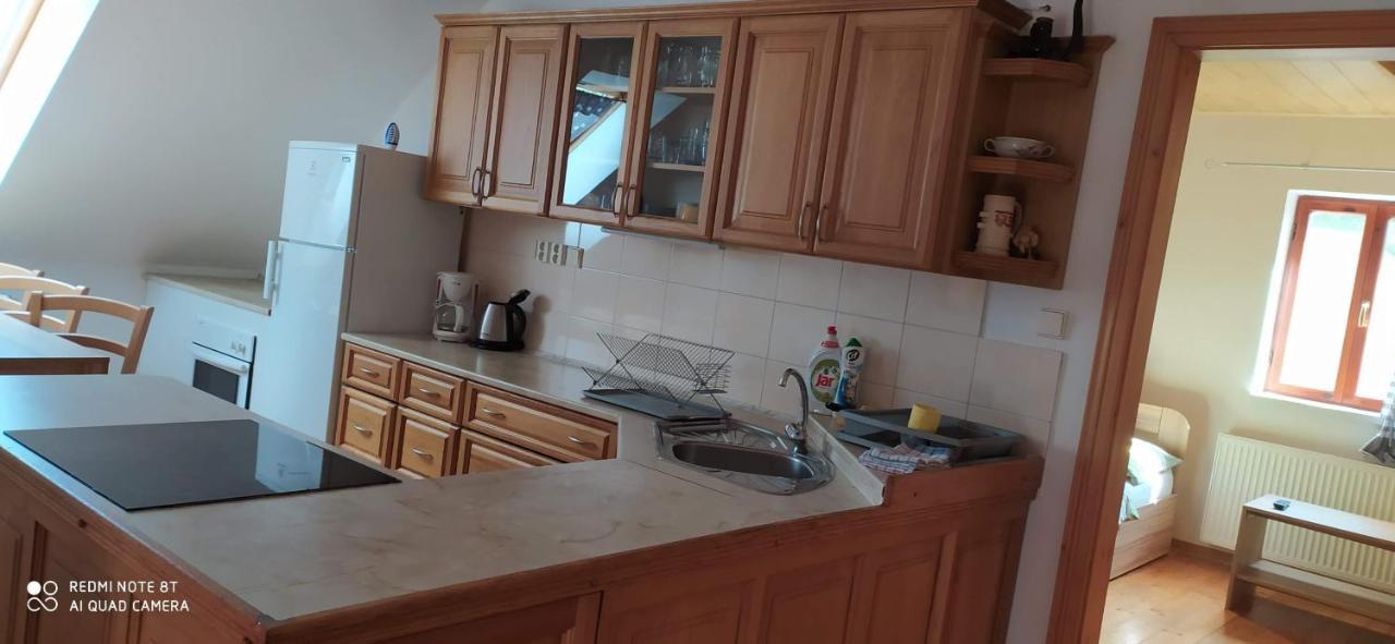 Apartmany Natalie Dvory nad Luznici Buitenkant foto