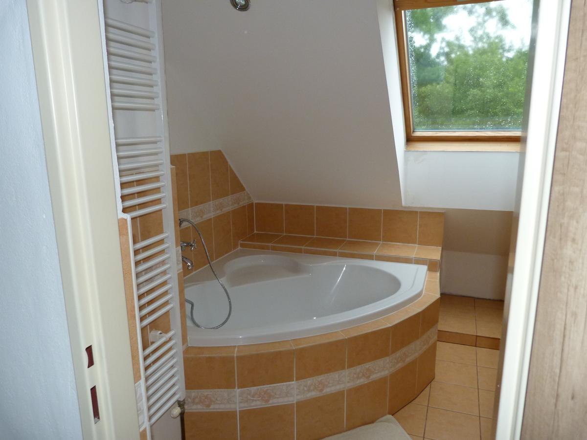 Apartmany Natalie Dvory nad Luznici Buitenkant foto